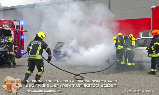 20220821 Fahrzeugbrand in Tribuswinkel Foto: Stefan Schneider BFKDO BADEN 20220821 Fahrzeugbrand in Tribuswinkel Foto: Stefan Schneider BFKDO BADEN