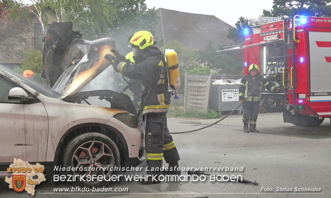 20220821 Fahrzeugbrand in Tribuswinkel Foto: Stefan Schneider BFKDO BADEN 20220821 Fahrzeugbrand in Tribuswinkel Foto: Stefan Schneider BFKDO BADEN