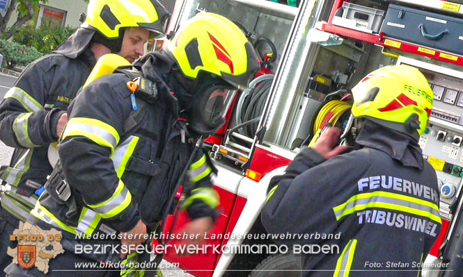 20220821 Fahrzeugbrand in Tribuswinkel Foto: Stefan Schneider BFKDO BADEN 20220821 Fahrzeugbrand in Tribuswinkel Foto: Stefan Schneider BFKDO BADEN