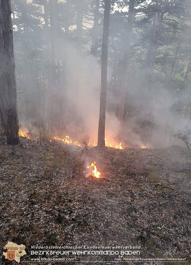 20220928 Waldbrand im Bereich Jägerhaus Foto: Freiwillige Feuerwehr Baden Weikersdorf 20220928 Waldbrand im Bereich Jägerhaus Foto: Freiwillige Feuerwehr Baden Weikersdorf