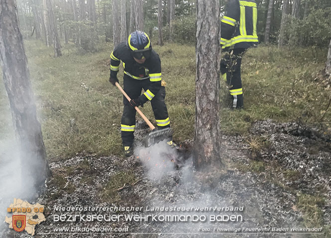 20220928 Waldbrand im Bereich Jägerhaus Foto: Georg Mrvka Freiwillige Feuerwehr Baden Weikersdorf 20220928 Waldbrand im Bereich Jägerhaus Foto: Georg Mrvka Freiwillige Feuerwehr Baden Weikersdorf