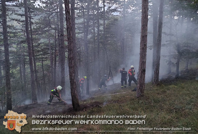 20220928 Waldbrand im Bereich Jägerhaus Foto: Felix Van de Castell Freiwillige Feuerwehr Baden-Stadt 20220928 Waldbrand im Bereich Jägerhaus Foto: Felix Van de Castell Freiwillige Feuerwehr Baden-Stadt