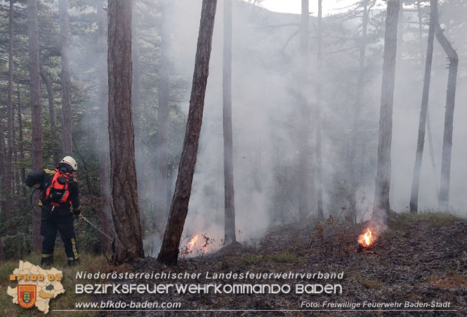 20220928 Waldbrand im Bereich Jägerhaus Foto: Felix Van de Castell Freiwillige Feuerwehr Baden-Stadt 20220928 Waldbrand im Bereich Jägerhaus Foto: Felix Van de Castell Freiwillige Feuerwehr Baden-Stadt