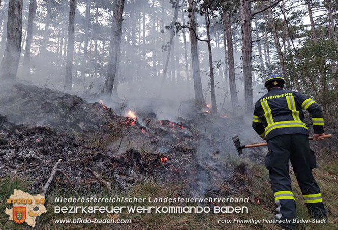 20220928 Waldbrand im Bereich Jägerhaus Foto: Felix Van de Castell Freiwillige Feuerwehr Baden-Stadt 20220928 Waldbrand im Bereich Jägerhaus Foto: Felix Van de Castell Freiwillige Feuerwehr Baden-Stadt
