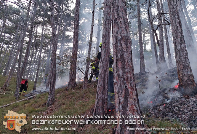 20220928 Waldbrand im Bereich Jägerhaus Foto: Felix Van de Castell Freiwillige Feuerwehr Baden-Stadt 20220928 Waldbrand im Bereich Jägerhaus Foto: Felix Van de Castell Freiwillige Feuerwehr Baden-Stadt