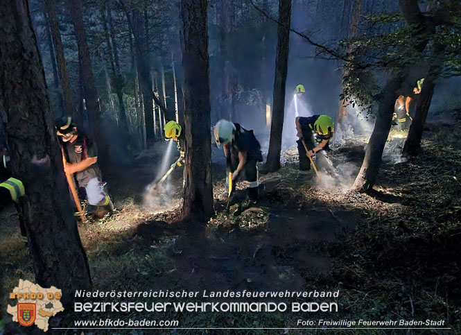 20220928 Waldbrand im Bereich Jägerhaus Foto: Stefan Schneider Freiwillige Feuerwehr Baden-Stadt 20220928 Waldbrand im Bereich Jägerhaus Foto: Stefan Schneider Freiwillige Feuerwehr Baden-Stadt