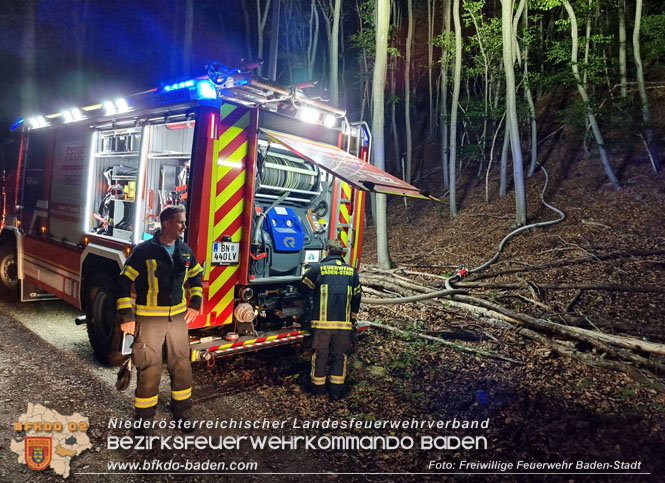 20220928 Waldbrand im Bereich Jägerhaus Foto: Stefan Schneider Freiwillige Feuerwehr Baden-Stadt 20220928 Waldbrand im Bereich Jägerhaus Foto: Stefan Schneider Freiwillige Feuerwehr Baden-Stadt