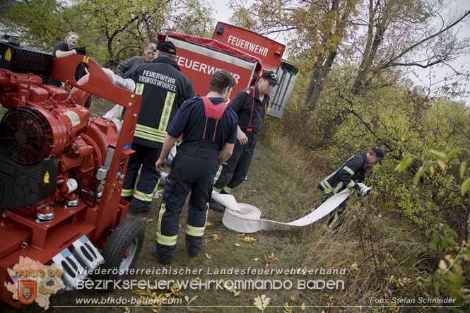 20221015 Fischbestand in Gefahr - Feuerwehr pumpt über 3 Millionen Liter Wasser Foto: Stefan Schneider BFKDO BADEN 20221015 Fischbestand in Gefahr - Feuerwehr pumpt über 3 Millionen Liter Wasser Foto: Stefan Schneider BFKDO BADEN