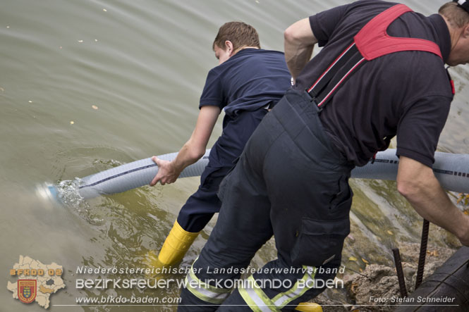 20221015 Fischbestand in Gefahr - Feuerwehr pumpt über 3 Millionen Liter Wasser Foto: Stefan Schneider BFKDO BADEN 20221015 Fischbestand in Gefahr - Feuerwehr pumpt über 3 Millionen Liter Wasser Foto: Stefan Schneider BFKDO BADEN