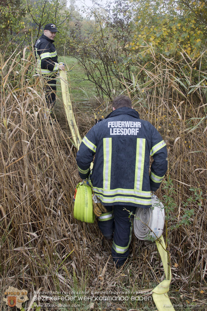 20221015 Fischbestand in Gefahr - Feuerwehr pumpt über 3 Millionen Liter Wasser Foto: Stefan Schneider BFKDO BADEN 20221015 Fischbestand in Gefahr - Feuerwehr pumpt über 3 Millionen Liter Wasser Foto: Stefan Schneider BFKDO BADEN