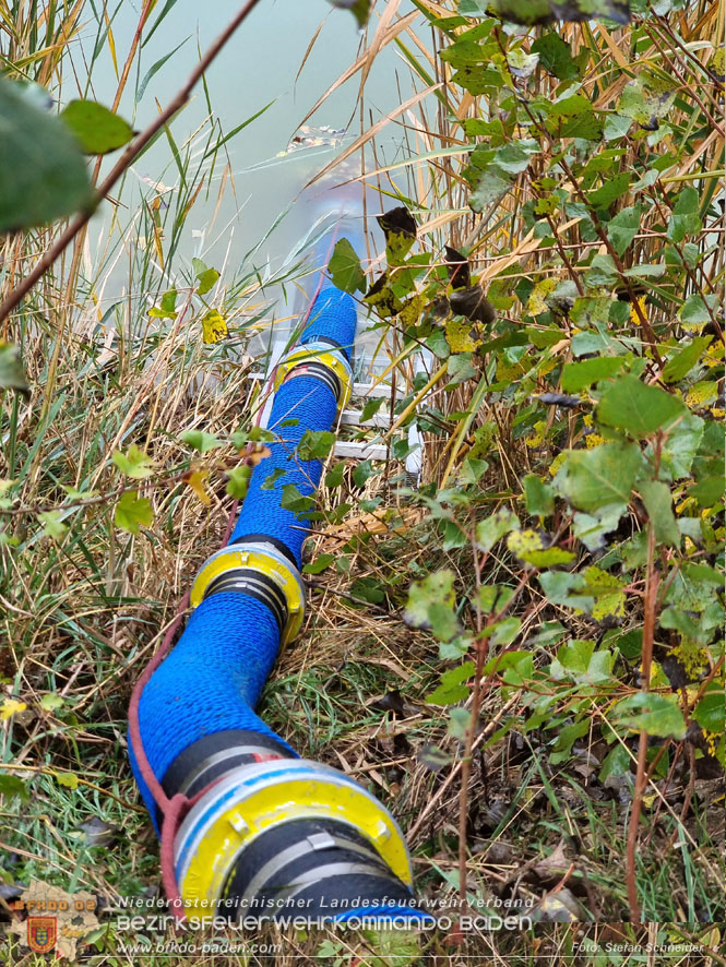 20221015 Fischbestand in Gefahr - Feuerwehr pumpt über 3 Millionen Liter Wasser Foto: Stefan Schneider BFKDO BADEN 20221015 Fischbestand in Gefahr - Feuerwehr pumpt über 3 Millionen Liter Wasser Foto: Stefan Schneider BFKDO BADEN