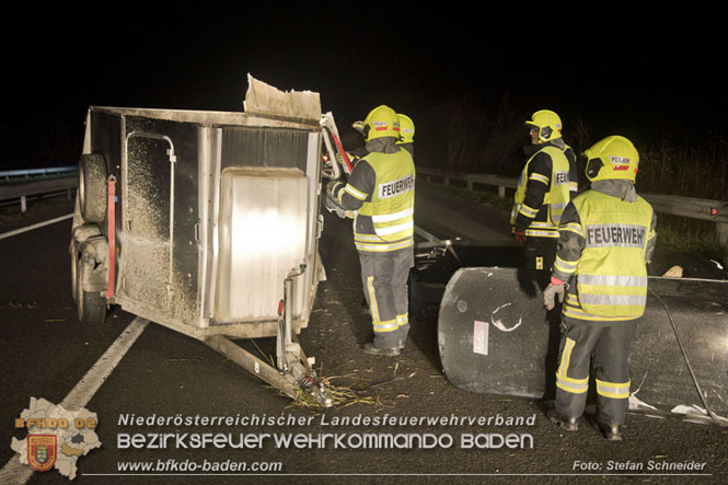 20221125 Gefährliche Situation nach Unfall mit Pferdeanhänger auf der A3 zwischen Pottendorf NÖ und Hornstein BGLD   Foto: Stefan Schneider BFKDO BADEN