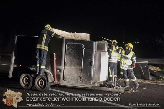 20221125 Gefährliche Situation nach Unfall mit Pferdeanhänger auf der A3 zwischen Pottendorf NÖ und Hornstein BGLD   Foto: Stefan Schneider BFKDO BADEN