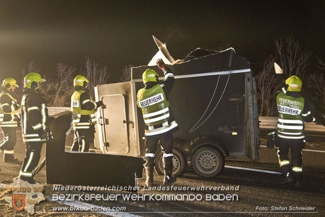 20221125 Gefährliche Situation nach Unfall mit Pferdeanhänger auf der A3 zwischen Pottendorf NÖ und Hornstein BGLD   Foto: Stefan Schneider BFKDO BADEN