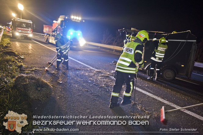 20221125 Gefährliche Situation nach Unfall mit Pferdeanhänger auf der A3 zwischen Pottendorf NÖ und Hornstein BGLD   Foto: Stefan Schneider BFKDO BADEN