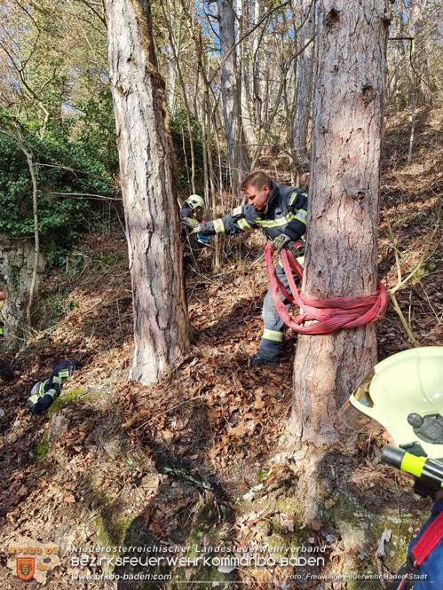 20221224 Déjà-vu im Badener Kurpark - neuerlich Pkw auf Waldweg! Foto: Freiwillige Feuerwehr Baden-Stadt / Stefan Schneider 20221224 Déjà-vu im Badener Kurpark - neuerlich Pkw auf Waldweg! Foto: Freiwillige Feuerwehr Baden-Stadt / Stefan Schneider
