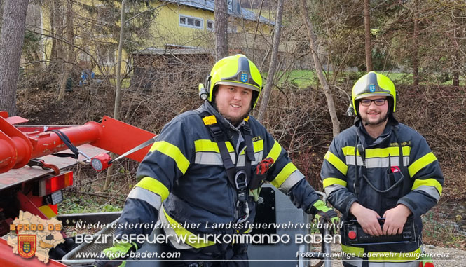 20221225 Der Feuerwehr-Klassiker Katze auf Baum"  Foto: Freiwillige Feuerwehr Heiligenkreuz