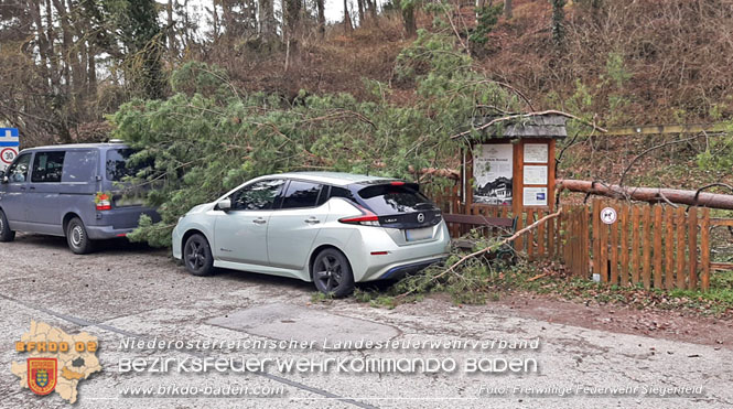 20230105 Sturmschden in Siegenfeld Ortsteil Rosental Foto: Freiwillige Feuerwehr Siegenfeld 20230105 Sturmschden in Siegenfeld Ortsteil Rosental Foto: Freiwillige Feuerwehr Siegenfeld