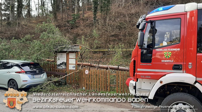 20230105 Sturmschden in Siegenfeld Ortsteil Rosental Foto: Freiwillige Feuerwehr Siegenfeld 20230105 Sturmschden in Siegenfeld Ortsteil Rosental Foto: Freiwillige Feuerwehr Siegenfeld
