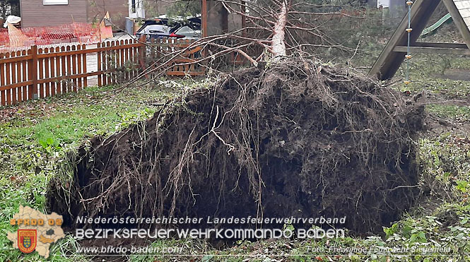 20230105 Sturmschden in Siegenfeld Ortsteil Rosental Foto: Freiwillige Feuerwehr Siegenfeld 20230105 Sturmschden in Siegenfeld Ortsteil Rosental Foto: Freiwillige Feuerwehr Siegenfeld