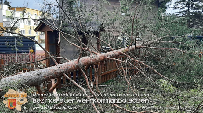 20230105 Sturmschden in Siegenfeld Ortsteil Rosental Foto: Freiwillige Feuerwehr Siegenfeld 20230105 Sturmschden in Siegenfeld Ortsteil Rosental Foto: Freiwillige Feuerwehr Siegenfeld