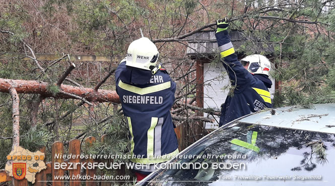 20230105 Sturmschden in Siegenfeld Ortsteil Rosental Foto: Freiwillige Feuerwehr Siegenfeld 20230105 Sturmschden in Siegenfeld Ortsteil Rosental Foto: Freiwillige Feuerwehr Siegenfeld
