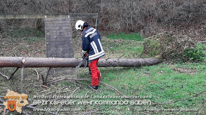 20230105 Sturmschden in Siegenfeld Ortsteil Rosental Foto: Freiwillige Feuerwehr Siegenfeld 20230105 Sturmschden in Siegenfeld Ortsteil Rosental Foto: Freiwillige Feuerwehr Siegenfeld