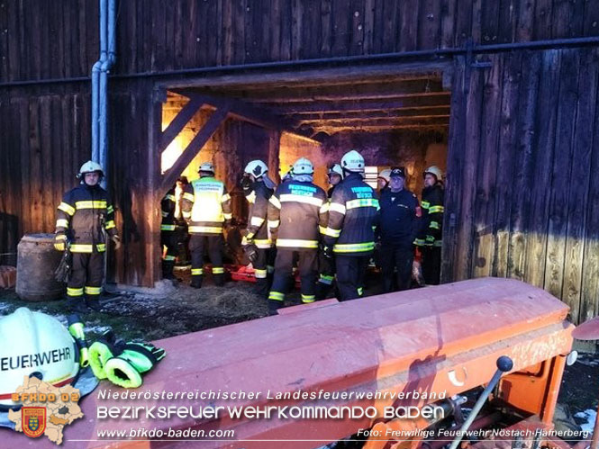 20230202 Personenrettung nach Arbeitsunfall in Nöstach/Hafnerberg   Foto: Freiwillige Feuerwehr Nöstach/Hafnerberg