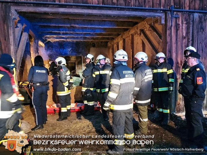20230202 Personenrettung nach Arbeitsunfall in Nöstach/Hafnerberg   Foto: Freiwillige Feuerwehr Nöstach/Hafnerberg
