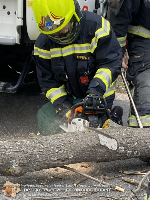 20230305 Menschenrettung nach Fahrzeugüberschlag auf der L2085  Foto: Freiwillige Feuerwehr Möllersdorf