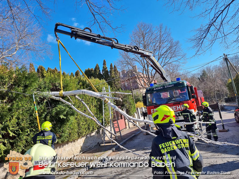 20230311 Stürmischer Samstag durch Tief DIETHELM  Foto: Freiwillige Feuerwehr Baden-Stadt