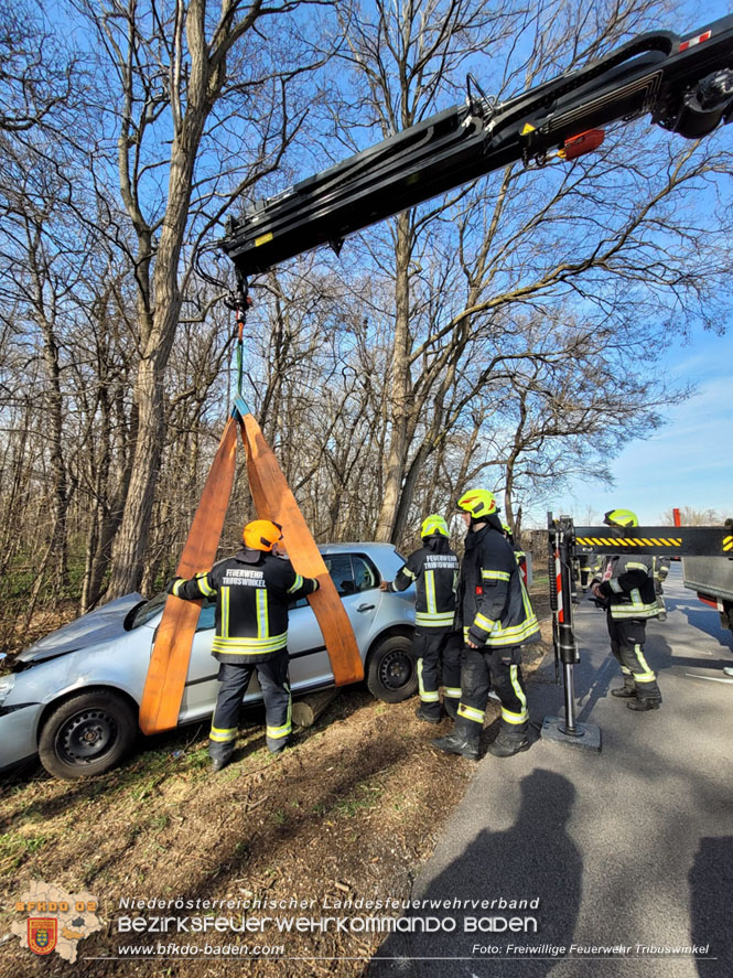 20230317 Verkehrsunfall bei Tribuswinkel auf der Leesdorferstraße Foto: Stefan & Nina Mitheis FF Tribuswinkel 20230317 Verkehrsunfall bei Tribuswinkel auf der Leesdorferstraße Foto: Stefan & Nina Mitheis FF Tribuswinkel
