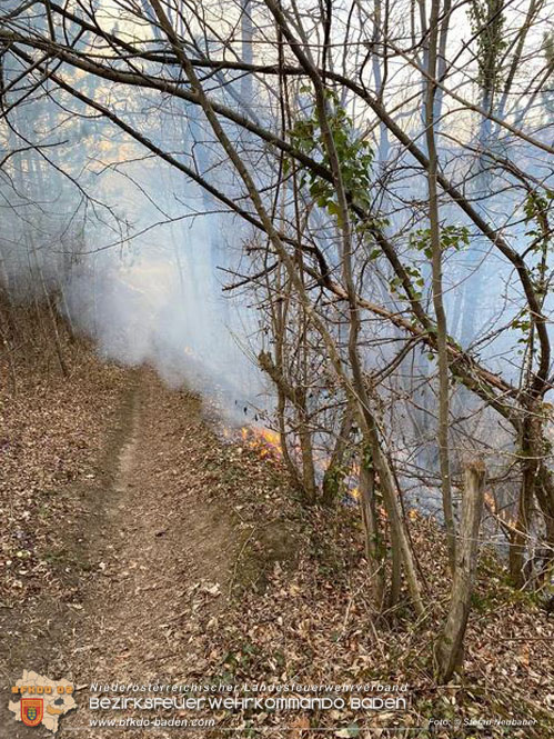 20230323 Waldbrand in Pottenstein  Foto: © Stefan Neubauer
