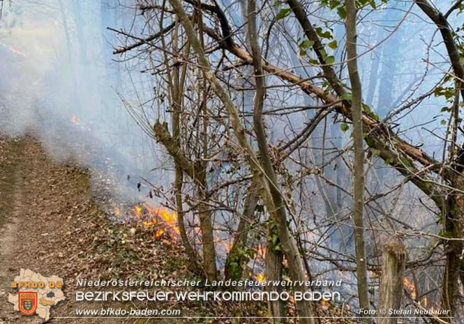 20230323 Waldbrand in Pottenstein  Foto: © Stefan Neubauer