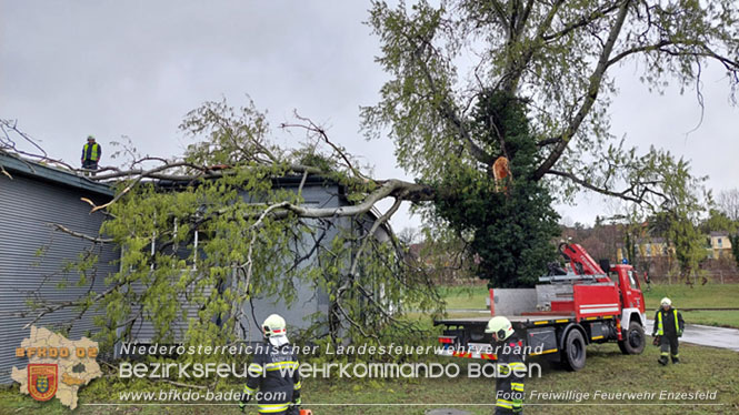 20230327 Strumschaden - Großer Ast stürzt auf Hallendach in Enzesfeld Foto: Freiwillige Feuerwehr Enzesfeld 20230327 Strumschaden - Großer Ast stürzt auf Hallendach in Enzesfeld Foto: Freiwillige Feuerwehr Enzesfeld