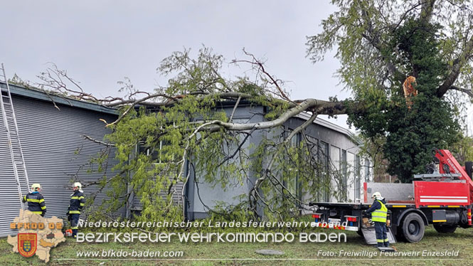 20230327 Strumschaden - Großer Ast stürzt auf Hallendach in Enzesfeld Foto: Freiwillige Feuerwehr Enzesfeld 20230327 Strumschaden - Großer Ast stürzt auf Hallendach in Enzesfeld Foto: Freiwillige Feuerwehr Enzesfeld