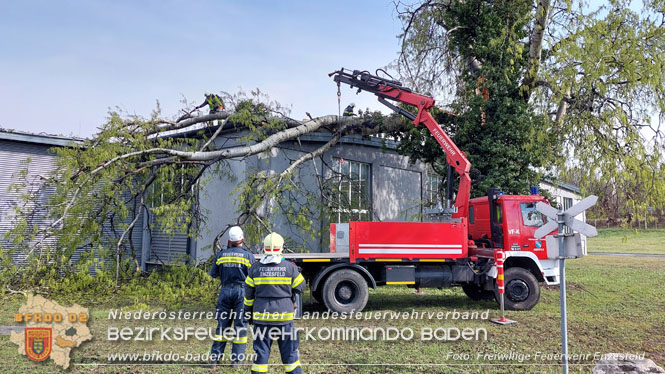 20230327 Strumschaden - Großer Ast stürzt auf Hallendach in Enzesfeld Foto: Freiwillige Feuerwehr Enzesfeld 20230327 Strumschaden - Großer Ast stürzt auf Hallendach in Enzesfeld Foto: Freiwillige Feuerwehr Enzesfeld