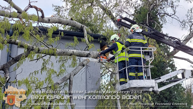 20230327 Strumschaden - Großer Ast stürzt auf Hallendach in Enzesfeld Foto: Freiwillige Feuerwehr Enzesfeld 20230327 Strumschaden - Großer Ast stürzt auf Hallendach in Enzesfeld Foto: Freiwillige Feuerwehr Enzesfeld
