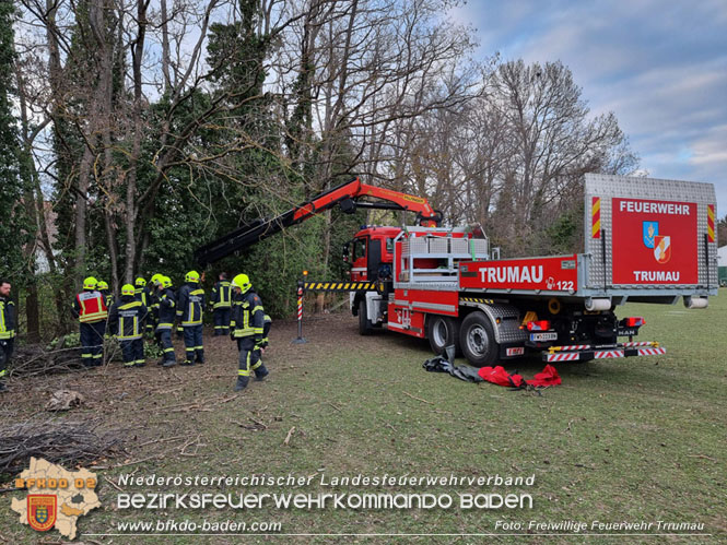 20230405 Pferd aus misslicher Lage gerettet in Trumau  Foto: Freiwillige Feuerwehr Trumau