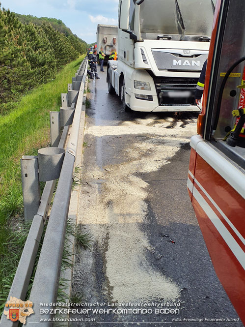 20230530 LKW-Brand auf der A21 bei Heiligemkreuz  Foto: Freiwillige Feuerwehr Alland