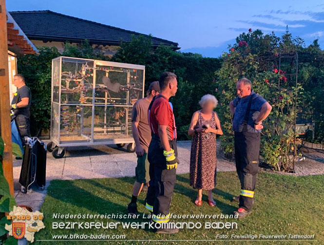 20230717 Königs Python sorgt für Feuerwehreinsatz Foto: Freiwillige Feuerwehr Tattendorf 20230717 Königs Python sorgt für Feuerwehreinsatz Foto: Freiwillige Feuerwehr Tattendorf