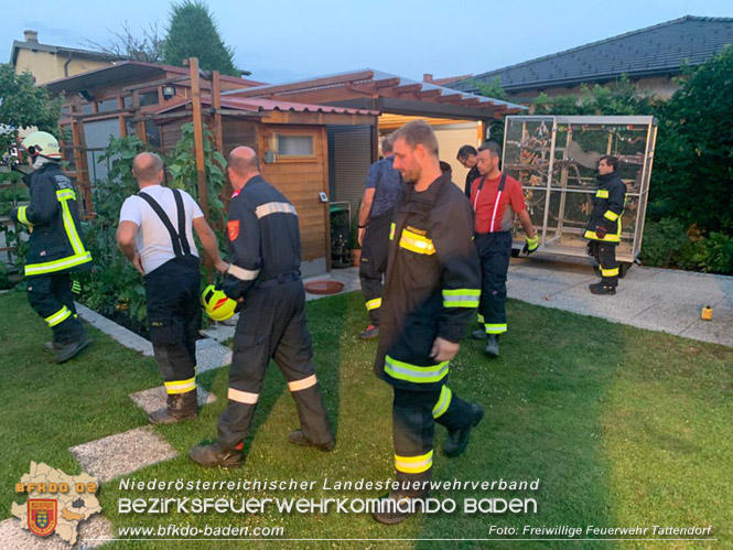20230717 Königs Python sorgt für Feuerwehreinsatz Foto: Freiwillige Feuerwehr Tattendorf 20230717 Königs Python sorgt für Feuerwehreinsatz Foto: Freiwillige Feuerwehr Tattendorf