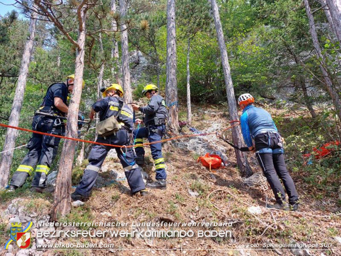 Erfolgreicher Einsatz des Sonderdienstes Sprengdienst in Muggendorf (Bzirk WN) Foto: Sprengdienstgruppe SÜD Erfolgreicher Einsatz des Sonderdienstes Sprengdienst in Muggendorf (Bzirk WN) Foto: Sprengdienstgruppe SÜD