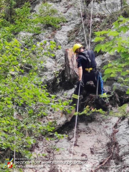 Erfolgreicher Einsatz des Sonderdienstes Sprengdienst in Muggendorf (Bzirk WN) Foto: Sprengdienstgruppe SÜD Erfolgreicher Einsatz des Sonderdienstes Sprengdienst in Muggendorf (Bzirk WN) Foto: Sprengdienstgruppe SÜD