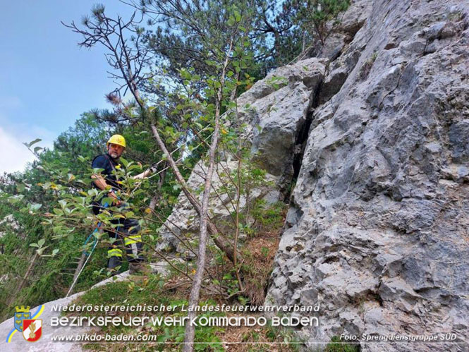 Erfolgreicher Einsatz des Sonderdienstes Sprengdienst in Muggendorf (Bzirk WN) Foto: Sprengdienstgruppe SÜD Erfolgreicher Einsatz des Sonderdienstes Sprengdienst in Muggendorf (Bzirk WN) Foto: Sprengdienstgruppe SÜD