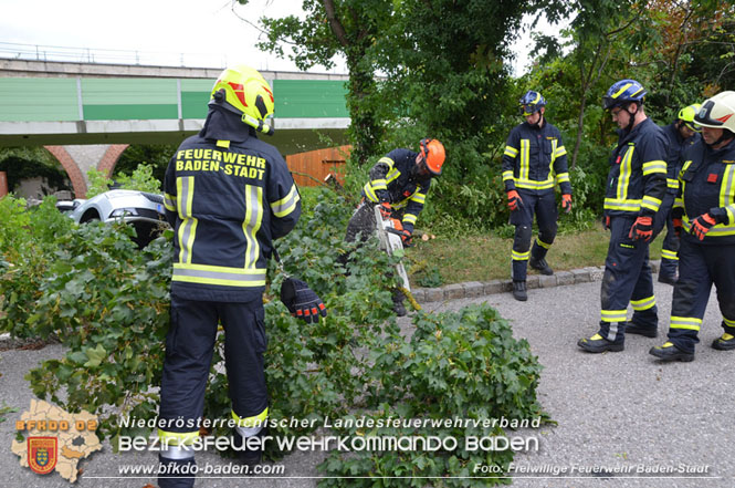 20230829_Personenrettung aus Notlage in Baden  Foto: Viktor van de Castell / Freiwillige Feuerwehr Baden-Stadt