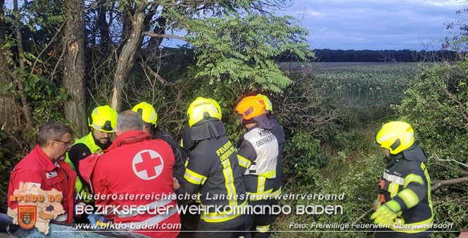 20230830 Verkehrsunfall auf der L157 Tattendorf - Oeynhausen Foto: Freiwillige Feuerwehr Oberwaltersdorf 20230830 Verkehrsunfall auf der L157 Tattendorf - Oeynhausen Foto: Freiwillige Feuerwehr Oberwaltersdorf
