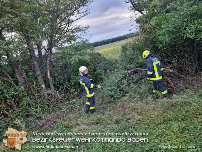 20230830 Verkehrsunfall auf der L157 Tattendorf - Oeynhausen Foto: Stefan Schneider BFKDO BADEN 20230830 Verkehrsunfall auf der L157 Tattendorf - Oeynhausen Foto: Stefan Schneider BFKDO BADEN