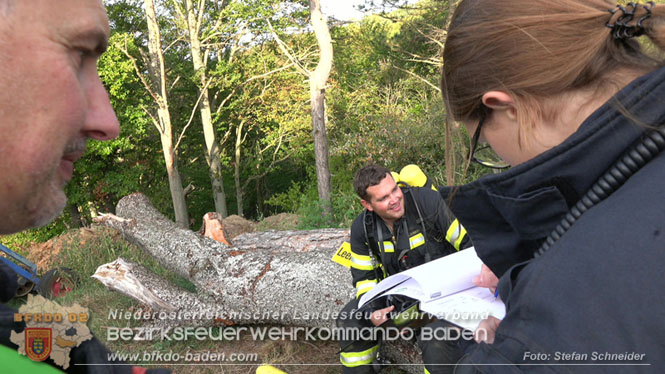 20231007_Großbrand in Heizungsanlage von Hühnerstall in Schwarzensee/Neuhaus Foto: Stefan Schneider BFK Baden 20231007_Großbrand in Heizungsanlage von Hühnerstall in Schwarzensee/Neuhaus Foto: Stefan Schneider BFK Baden