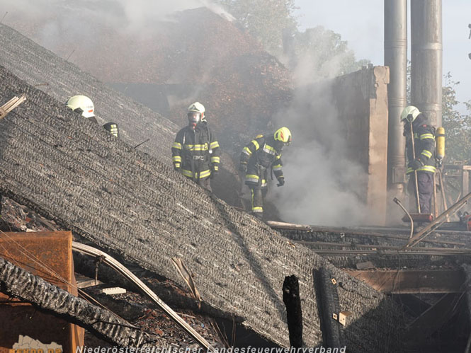 20231007_Großbrand in Heizungsanlage von Hühnerstall in Schwarzensee/Neuhaus Foto: Stefan Schneider BFK Baden 20231007_Großbrand in Heizungsanlage von Hühnerstall in Schwarzensee/Neuhaus Foto: Stefan Schneider BFK Baden